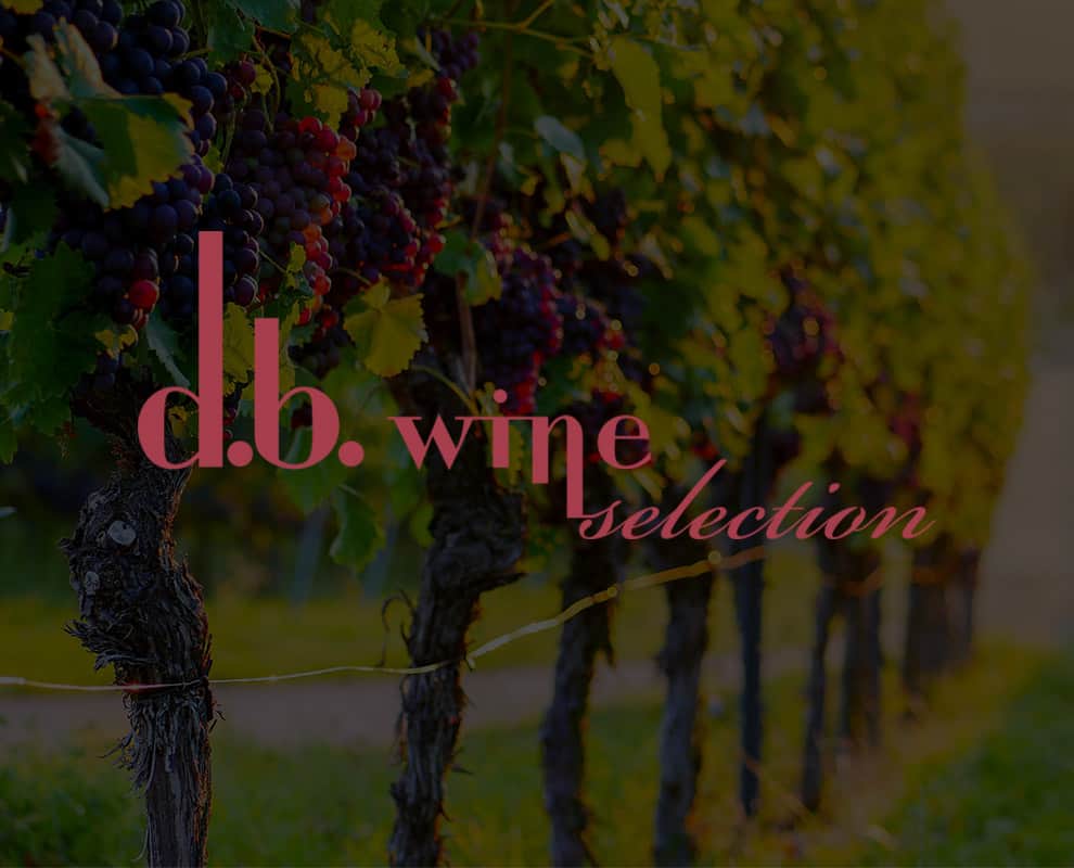 Projet Db Wine Selection